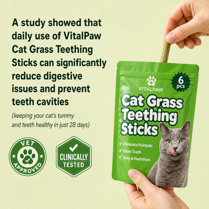 Cat Grass Teething Sticks