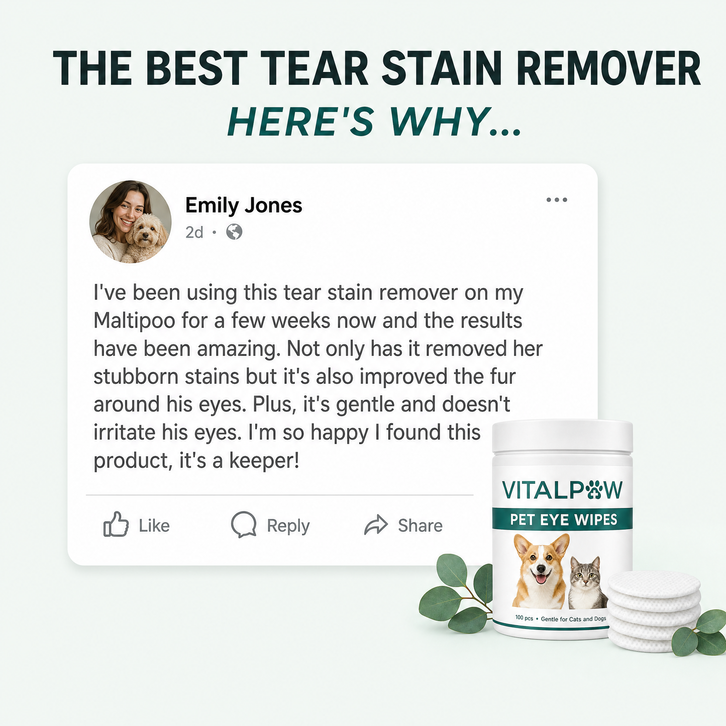 VitalPaw™ Eye Defense Wipes