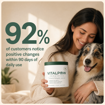 Probiotics For Gut & Digestive Health - Itching, Licking & Skin Irritation