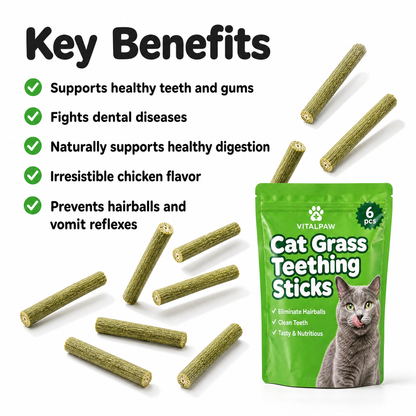 Cat Grass Teething Sticks
