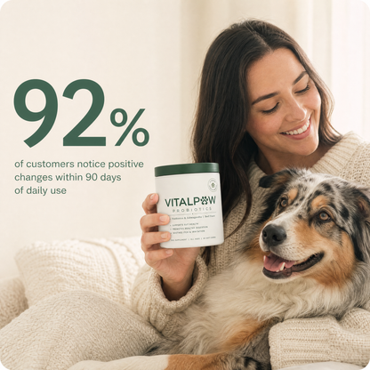 Probiotics For Gut & Digestive Health - Itching, Licking & Skin Irritation