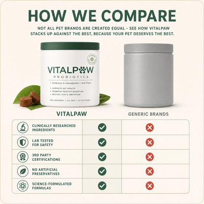 Probiotics For Gut & Digestive Health - Itching, Licking & Skin Irritation